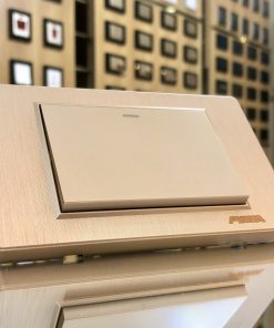 Bộ công tắc 1 x 1 chiều C5 gold Series P-050