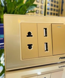 Bộ 1 công tắc + 1 ổ cắm 2 chấu + USB peha AuraKantig gold Series