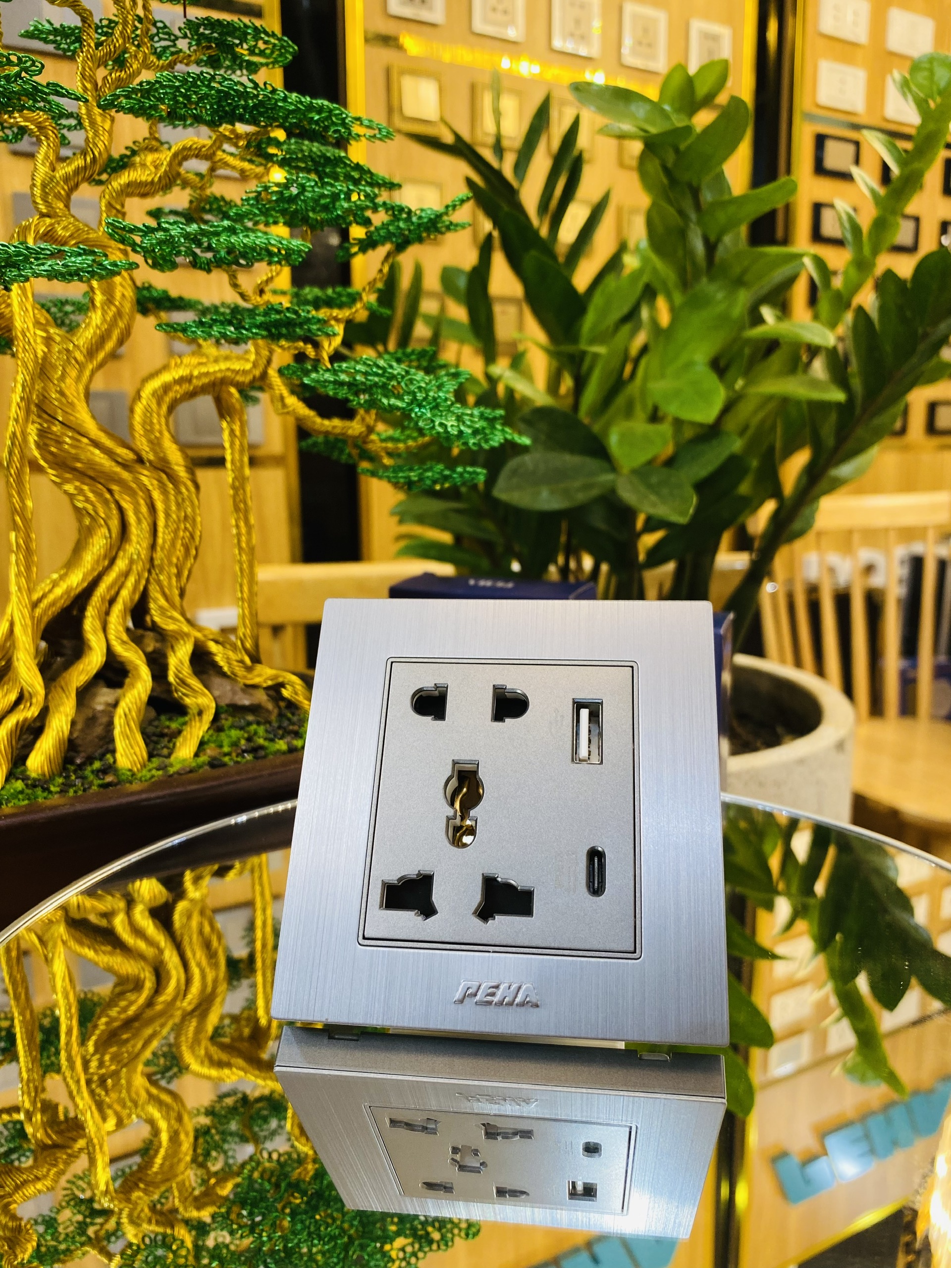 Bộ 1 ổ cắm đa năng 5 chấu + USB – PEHA – NOVA ALUMINUM 86 series