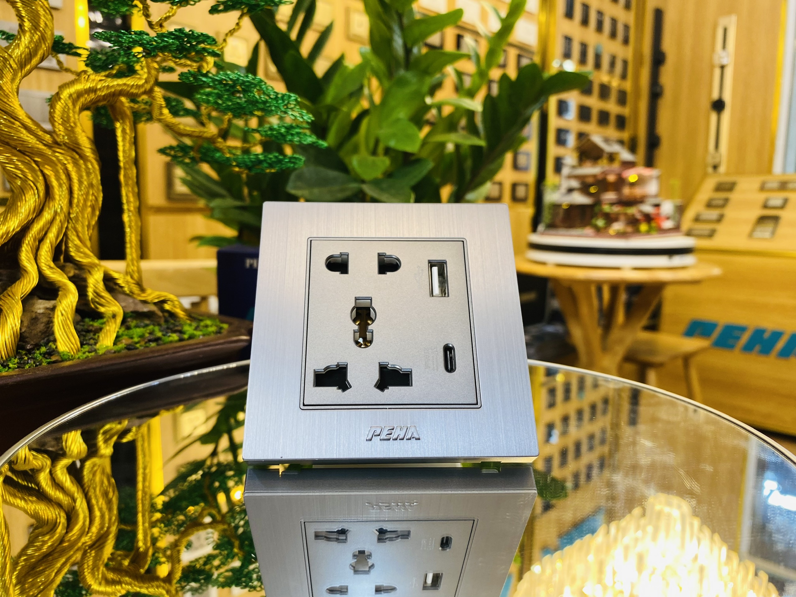 Bộ 1 ổ cắm đa năng 5 chấu + USB – PEHA – NOVA ALUMINUM 86 series - Ảnh 2
